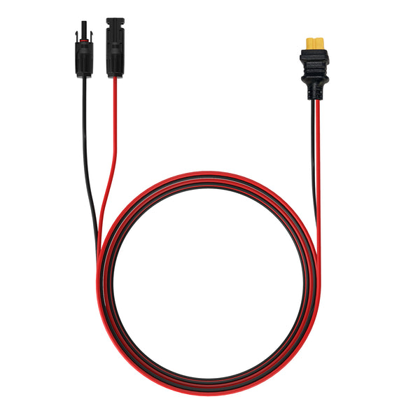 A1_grande.jpg?v=1715656414